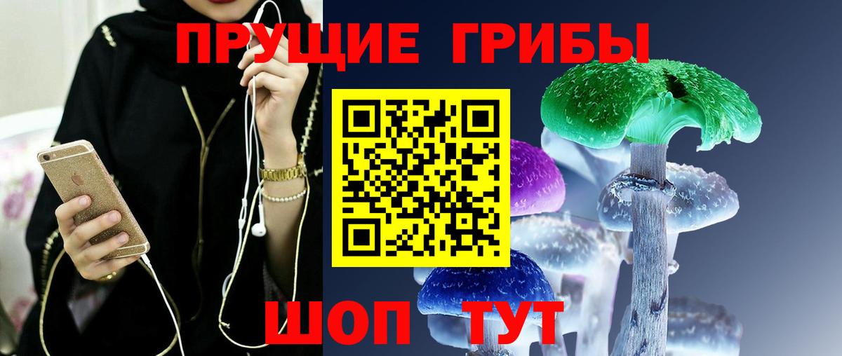 Псилоцибиновые грибы ЛСД  Вход с VPN  Камень-на-Оби 