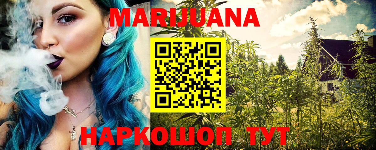 Каннабис планчик Камень-на-Оби
